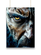 wolverine | Movie - Poster | 19